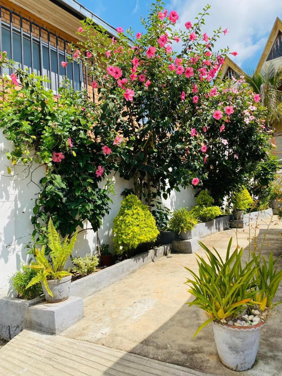 Chez Jeanne Chambre D'Hote Antananarivo Ngoại thất bức ảnh